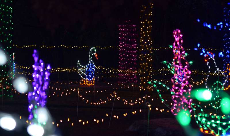 This photo was taken Thursday night during the lighting check.