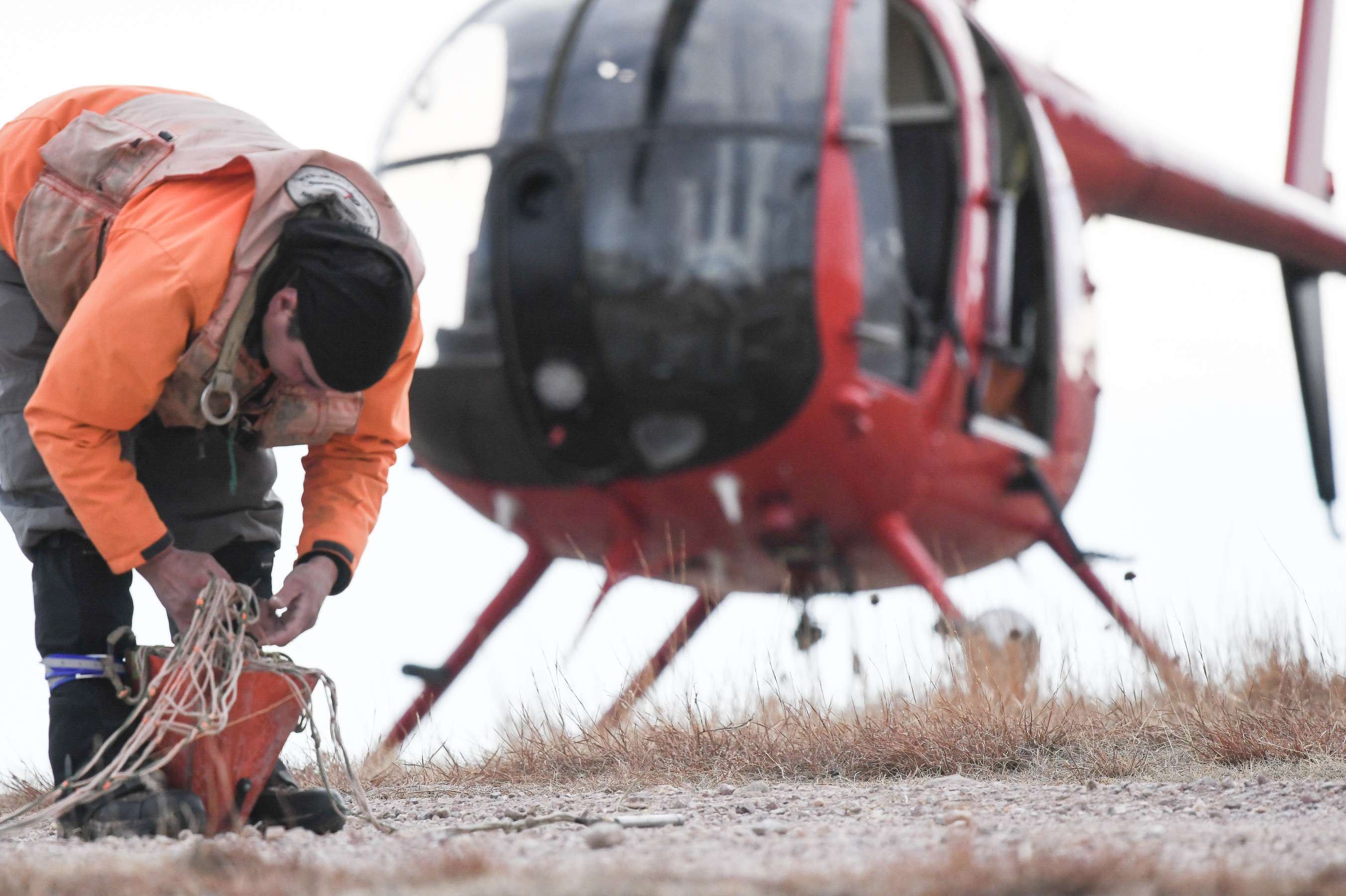 A crewmember from Leading Edge Aviation LLC from Clarkston, Washington, packs a net used to capture elk in Wind Cave National Park.  (NPS Photo)&nbsp;