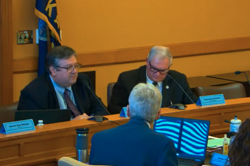 Rep. Ken Rahjes, left, chairman of the Special Committee on the 30×30 Federal Initiative, says conservation talks will resume when the new session starts in January. (Screen capture by Kansas Reflector of the Kansas Legislature on YouTube)