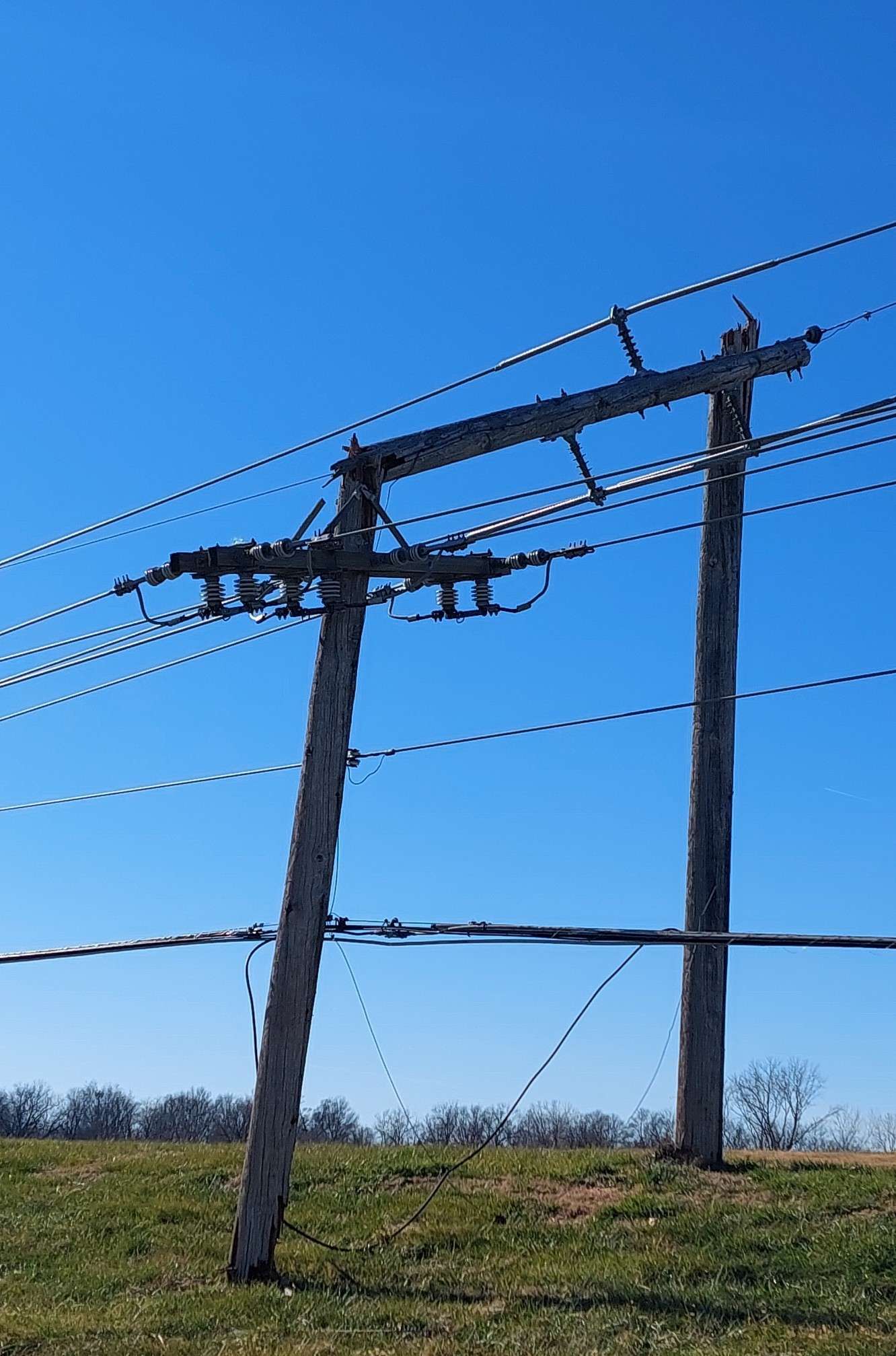 Broken utility poles/Photo by Matt Pike