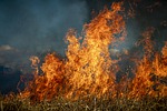 Ellis Co. implements burn ban