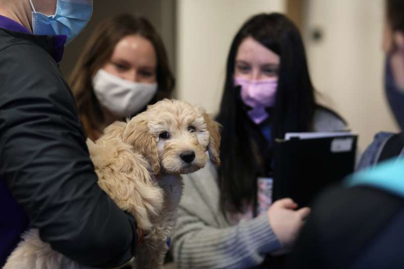 <b>KWU's campus dog. </b>Photo by Karen Bonar courtesy KWU