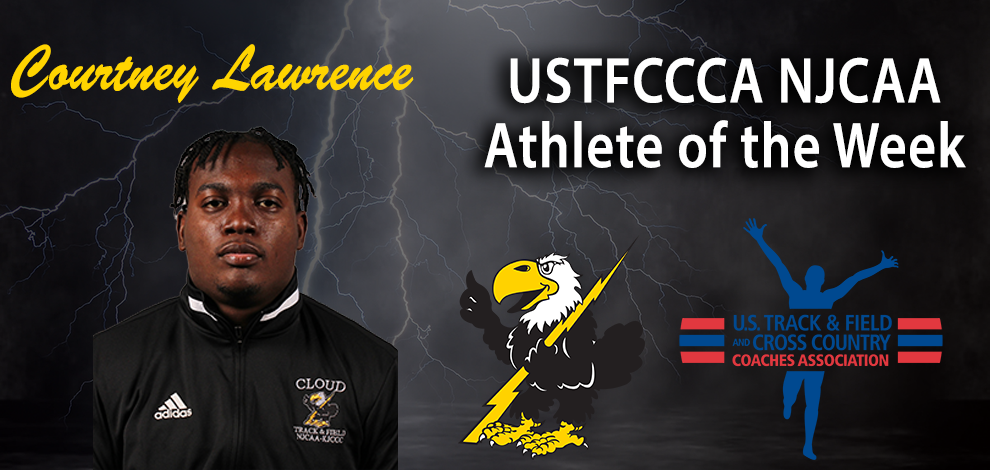 Image courtesy <a href="http://cloudtbirds.com">cloudtbirds.com</a>