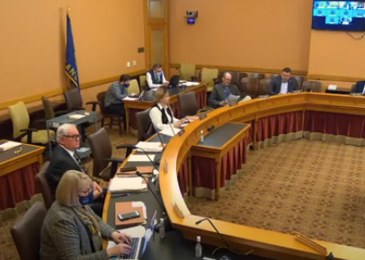 Members of the Senate Taxation Committee during Wednesday's meeing -image courtesy Senate YouTube channel