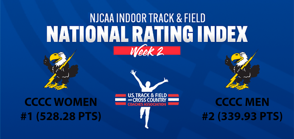 Image courtesy <a href="http://cloudtbirds.com">cloudtbirds.com</a>