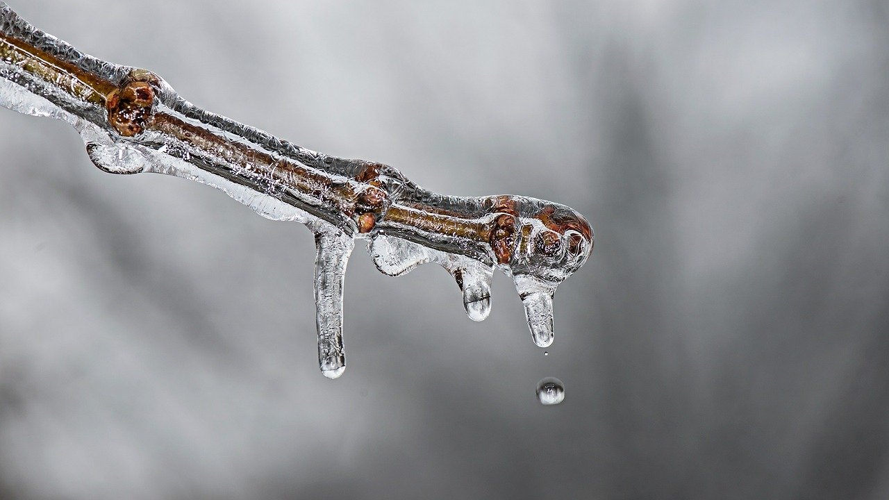 Image courtesy of Pixabay