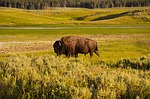 New class at MPCC will highlight Great Plains literature