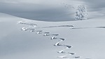 Dangerously cold conditions continue tonight, tomorrow