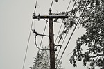 Frigid weather sees utilities urging customers to conserve
