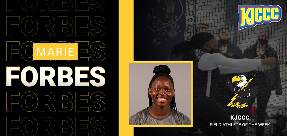 Image courtesy&nbsp;<a href="http://cloudtbirds.com">cloudtbirds.com</a>