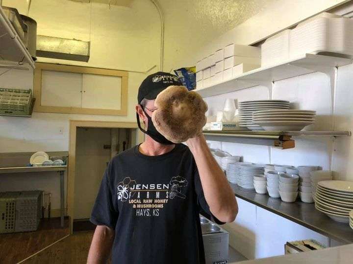 Mike Jensen holding a shiitake mushroom. Courtesy photo