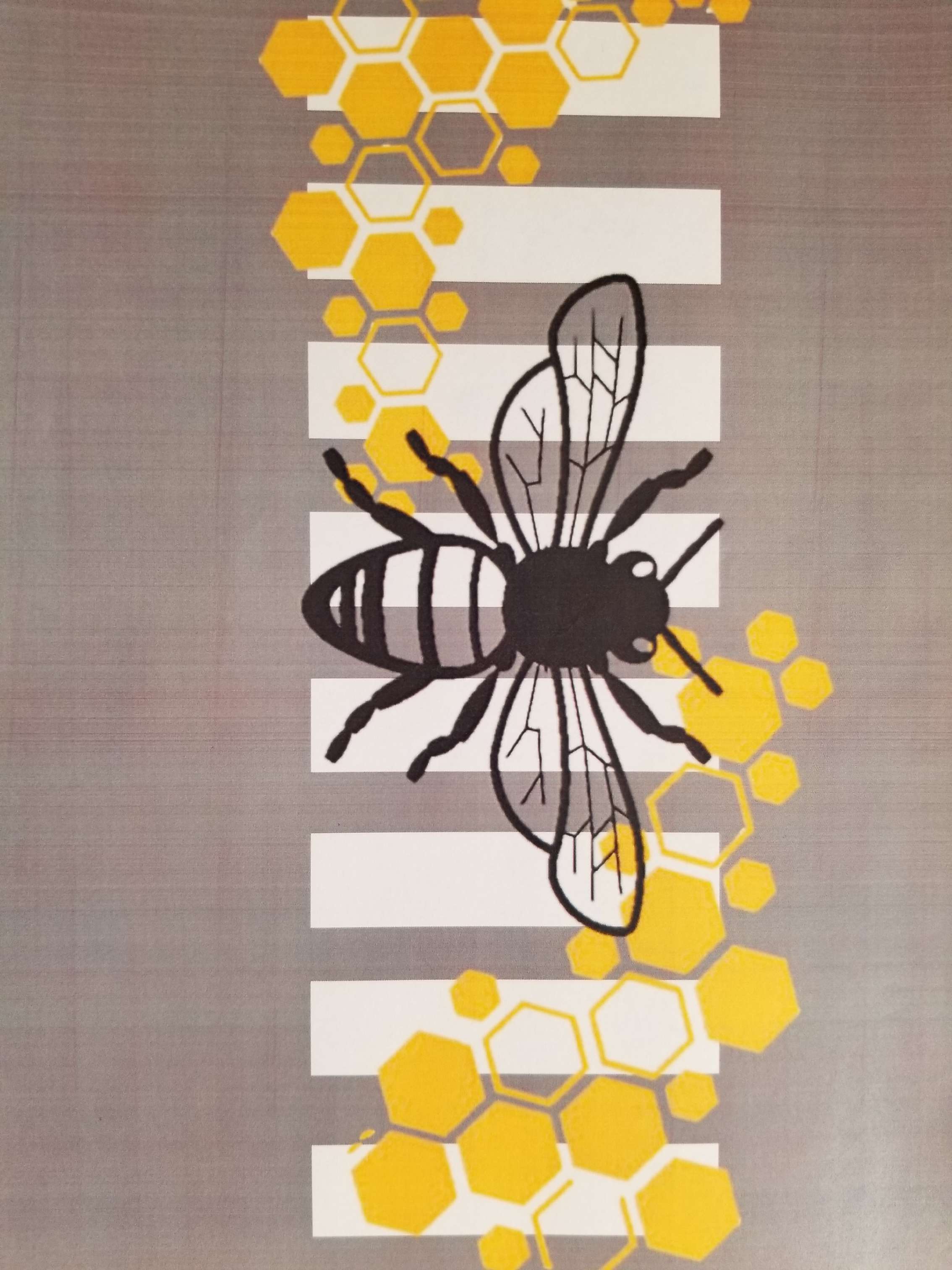 Here's one example from the Activate Alliance group on what a crosswalk could look like.&nbsp;