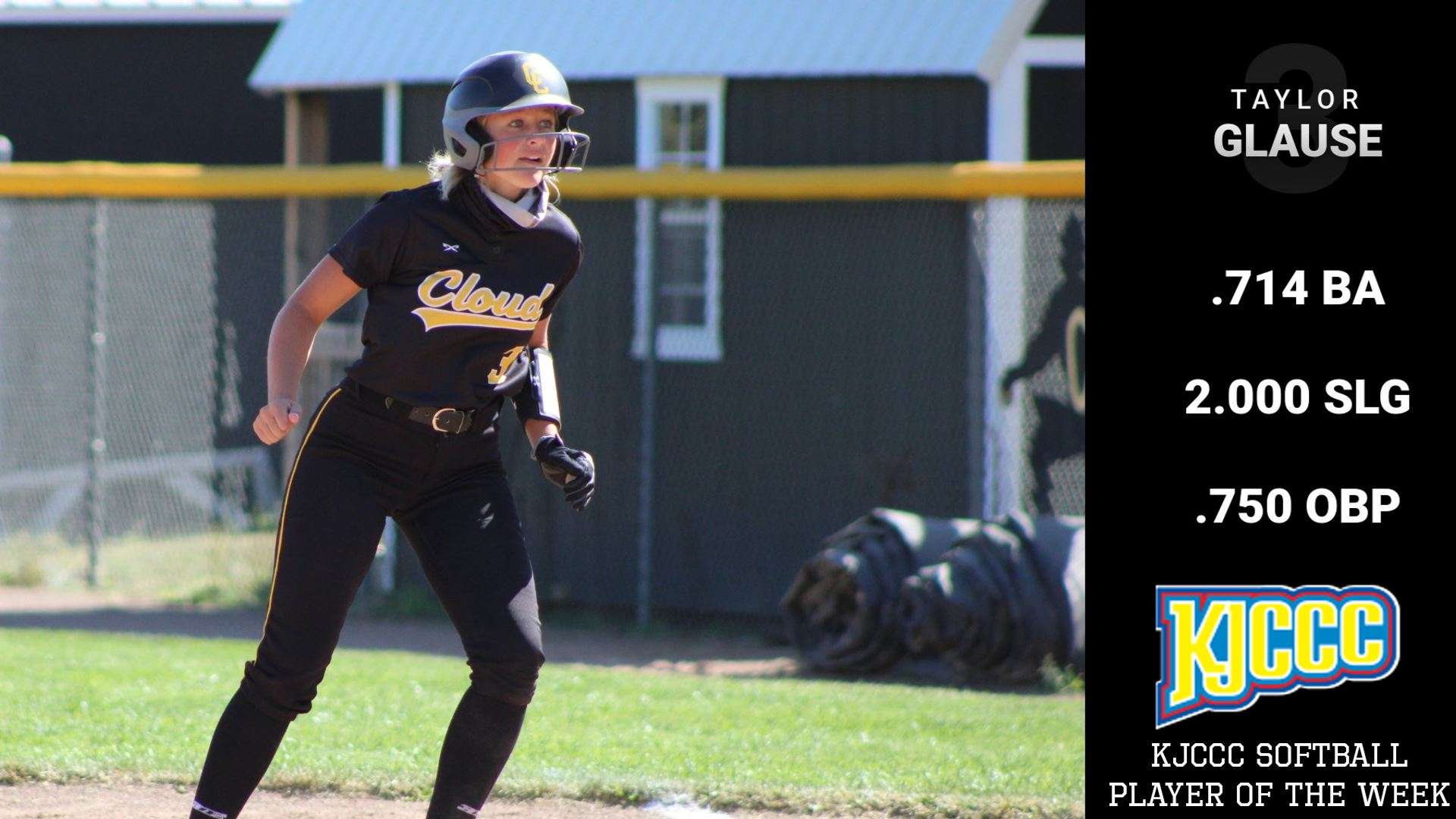 Image courtesy <a href="http://cloudtbirds.com">cloudtbirds.com</a>