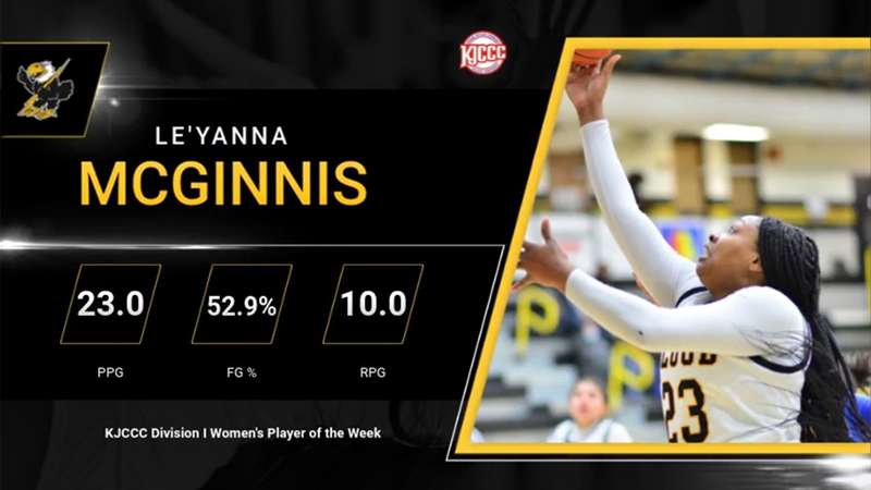 Image courtesy <a href="http://cloudtbirds.com">cloudtbirds.com</a>