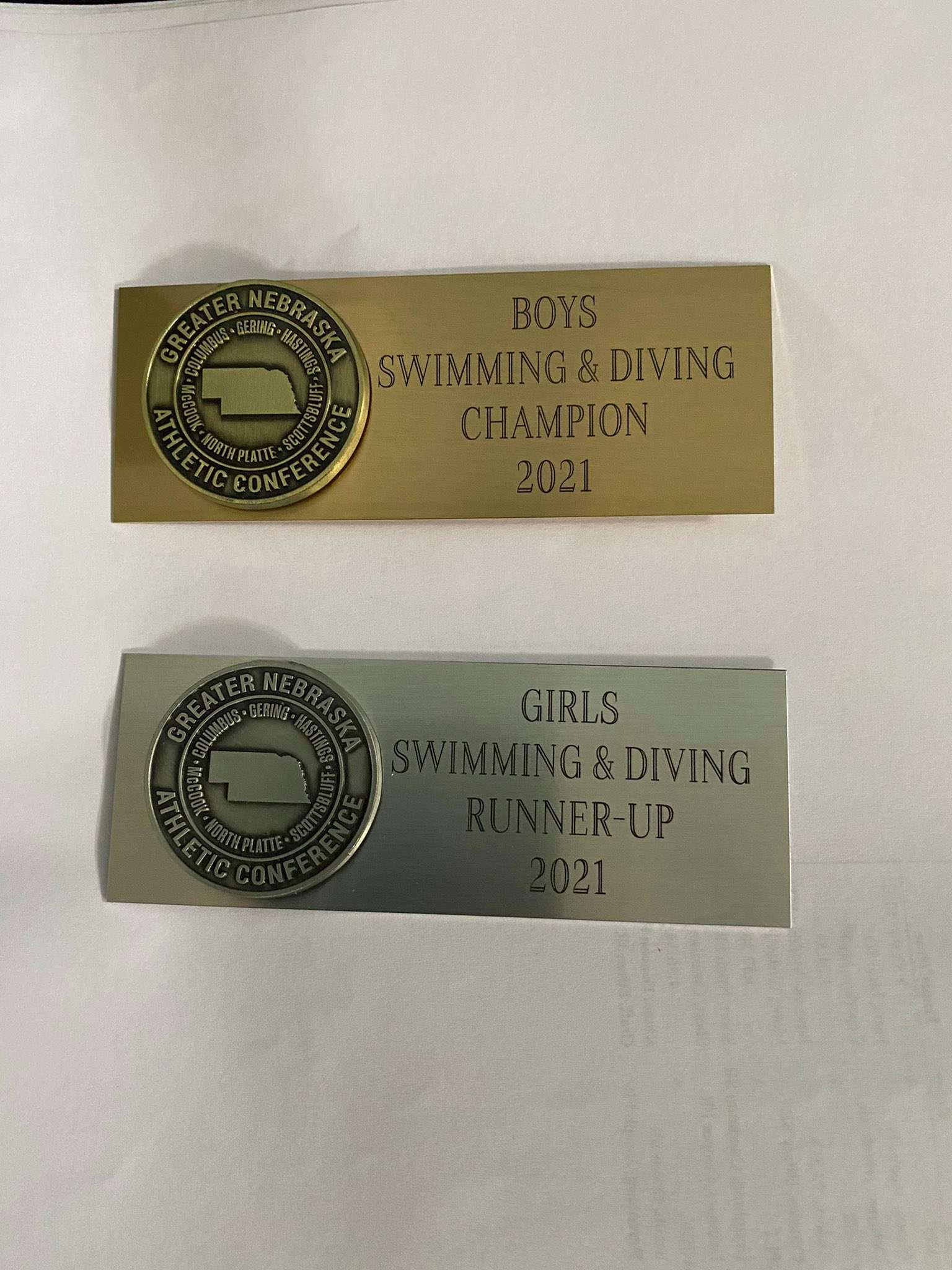 swim and dive gnac 2021.jpg