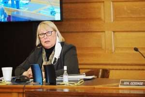 Sen. Molly Baumgardner, R-Louisburg, said vague language in a House bill outlining a proposed $10 million grant program for rural hospitals made it difficult to vote for a measure that otherwise could have merit. (Sherman Smith/Kansas Reflector)