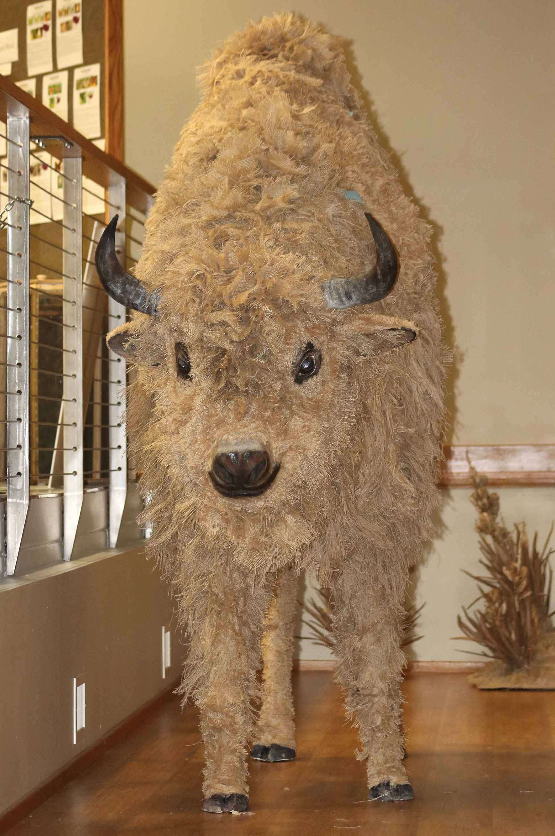 The Sandoz Center will have a naming contest for its newest feature, a life-size buffalo made of cardboard and burlap.&nbsp;Artist Linda Dabbs created this life-size buffalo of cardboard and burlap for a new exhibit at the Mari Sandoz High Plains Heritage Center.