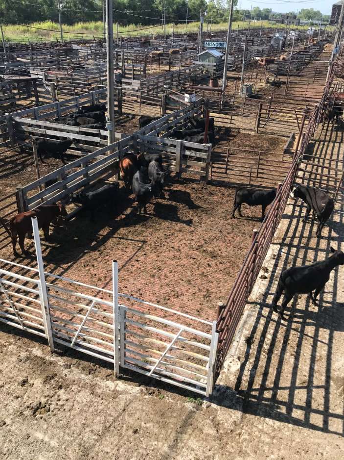 St. Joseph Stockyards/Photo by Dionne Bertling