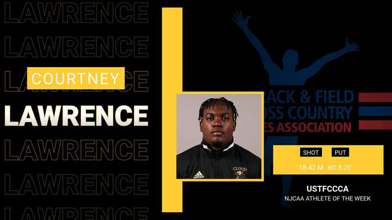 Image courtesy <a href="http://cloudtbirds.com">cloudtbirds.com</a>