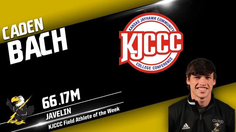 Image courtesy <a href="http://cloudtbirds.com">cloudtbirds.com</a>