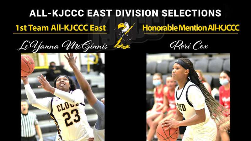 Image courtesy <a href="http://cloudtbirds.com">cloudtbirds.com</a>