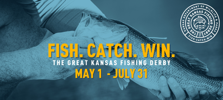Image courtesy Kansas Department of Wildlife and Parks