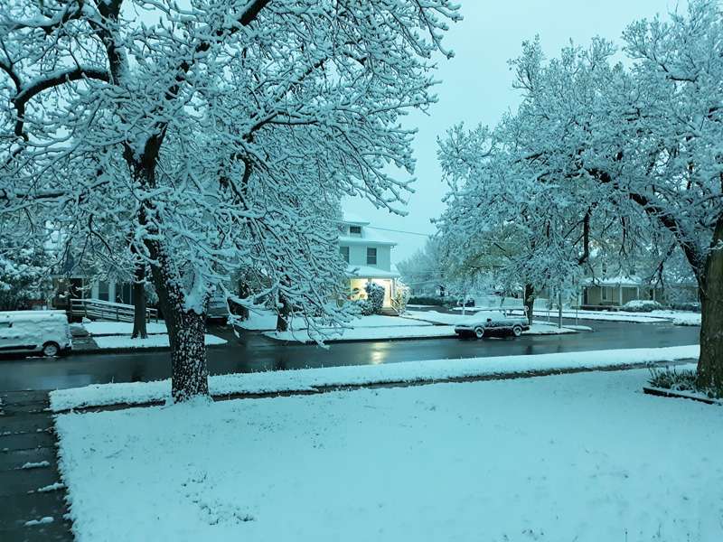 <b>A snowy Tuesday morning on W. Ash Street.</b> Photos courtesy Randy Picking