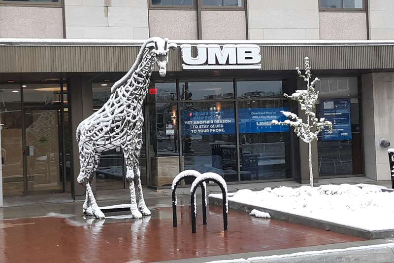 <b>Even the giraffe caught some snow in front of UMB, 100 S. Santa Fe Avenue.</b>