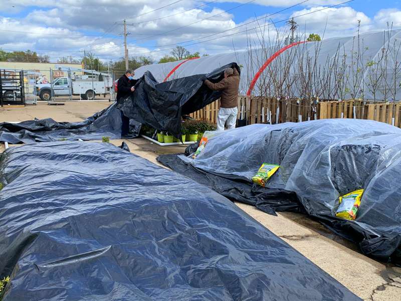 <b>Tom Jones, right, helps cover some of the plants at Ace Home Center Tuesday afternoon.</b> Salina Post photo