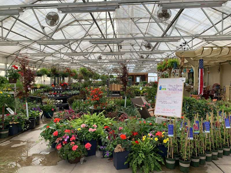 <b>Staff brought in as many plants as they could at Waters Hardware.</b> Salina Post photo