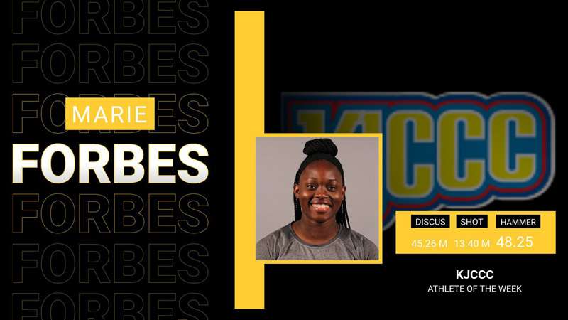 Image courtesy <a href="http://cloudtbirds.com">cloudtbirds.com</a>