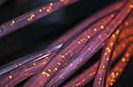 Eligible households can receive broadband funding next month