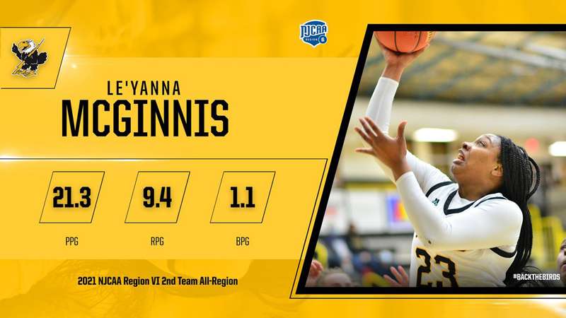 Image courtesy <a href="http://cloudtbirds.com">cloudtbirds.com</a>