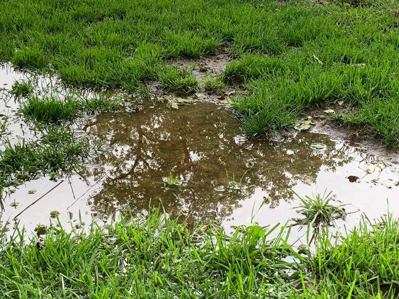 <b>A nearby tree is reflected in standing rainwater in southeast Salina Sunday morning. </b>Salina Post photo