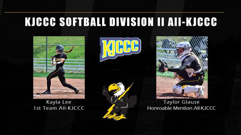 Image courtesy <a href="http://cloudtbirds.com">cloudtbirds.com</a>