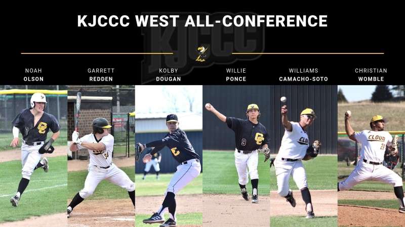 Image courtesy <a href="http://cloudtbirds.com">cloudtbirds.com</a>