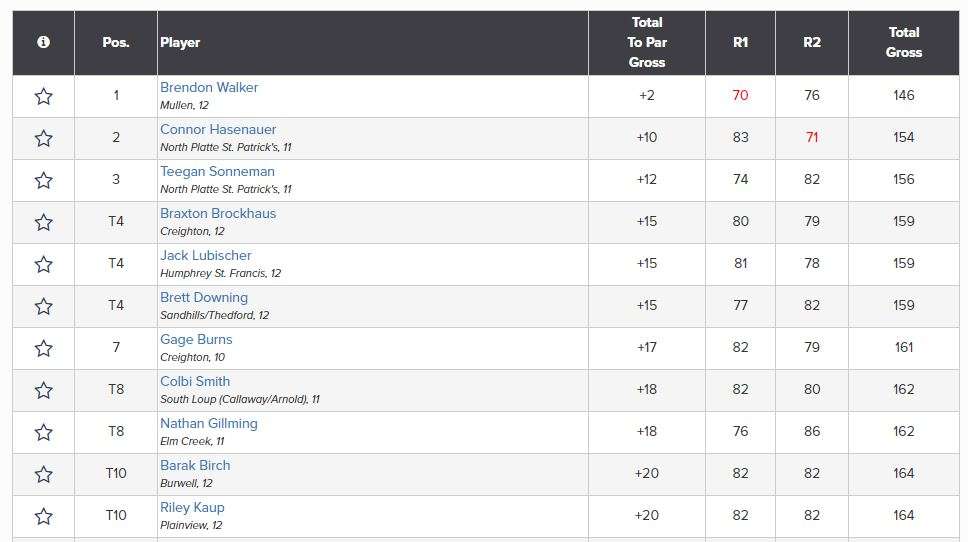 2021 Class D state golf top 10 individual.JPG