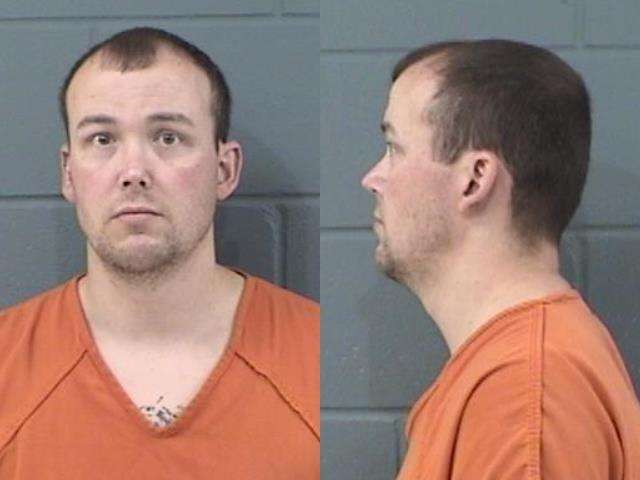 Randall Williams, Aggravated criminal sodomy, Rape ( 4 counts ), Arrested 5/24