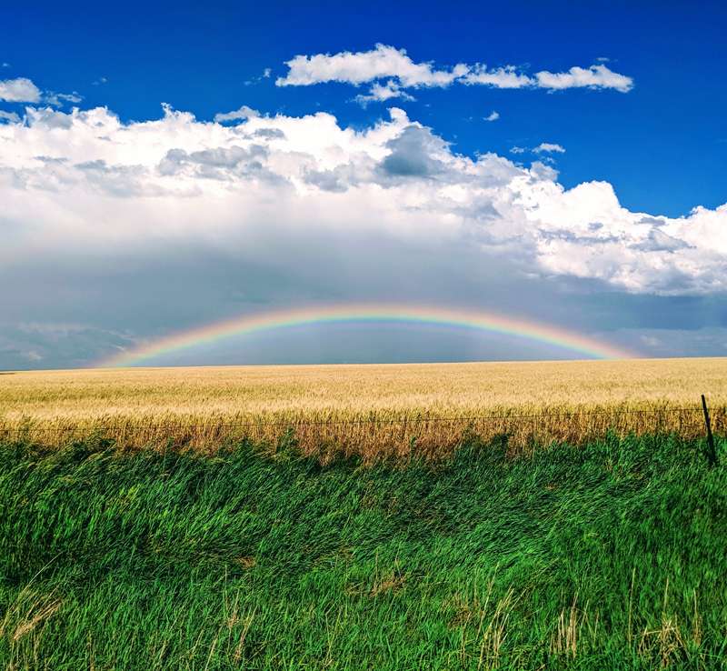 <b>Jennifer Colby, Ellis, won the 2019 Country Livin’ category with "Somewhere Over the Rainbow ." </b>Photo courtesy KDA