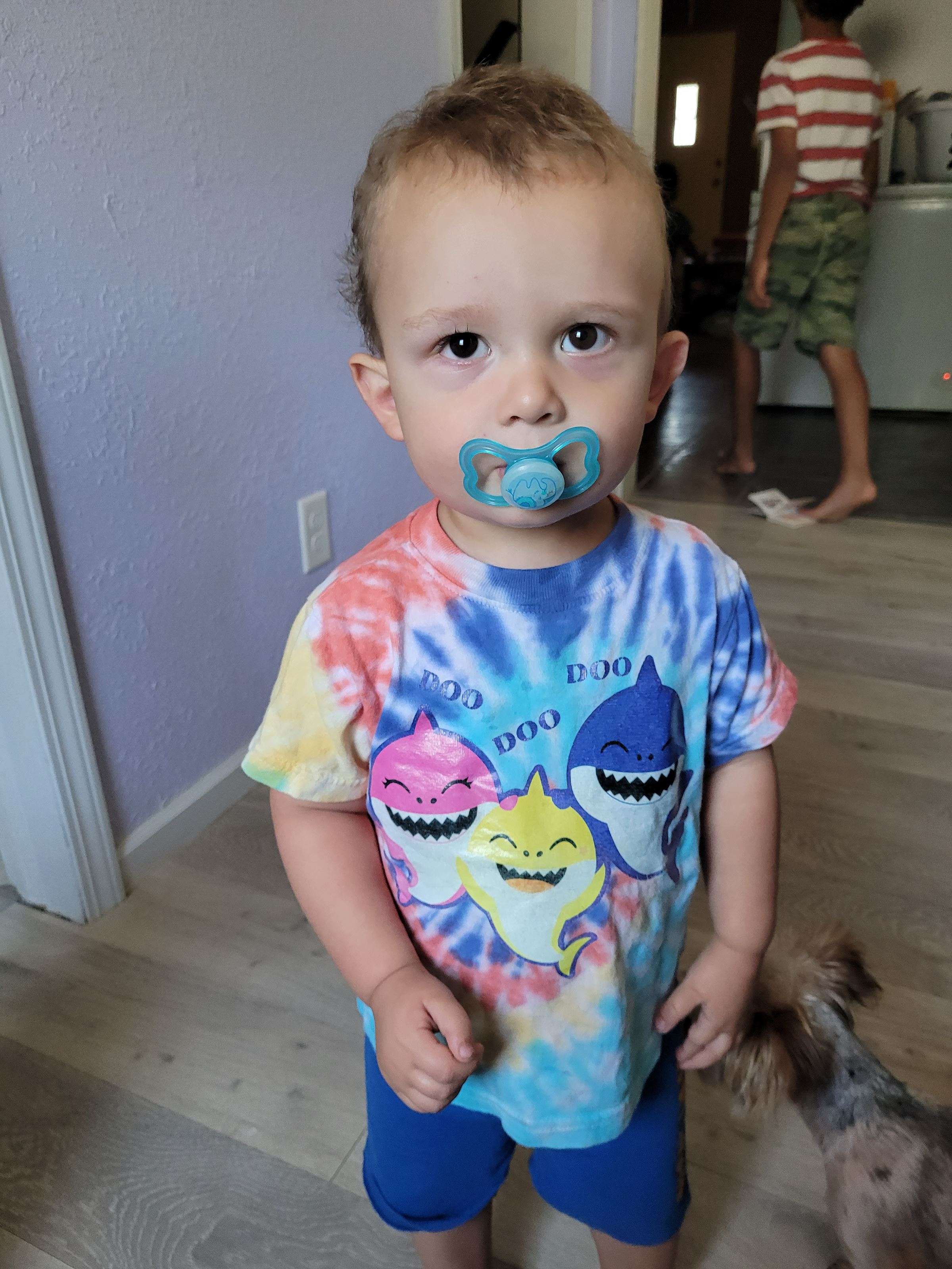 <b>Baby Shark photo contest winner London.</b>