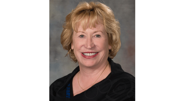 Sen. Lou Ann Linehan