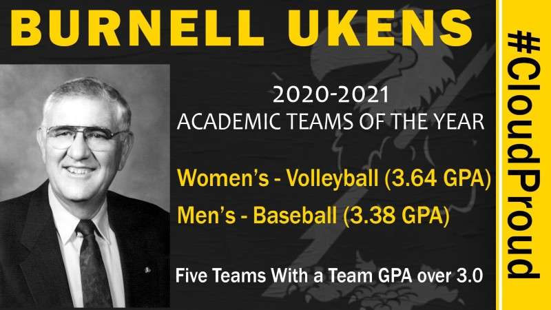 Image courtesy <a href="http://cloudtbirds.com">cloudtbirds.com</a>