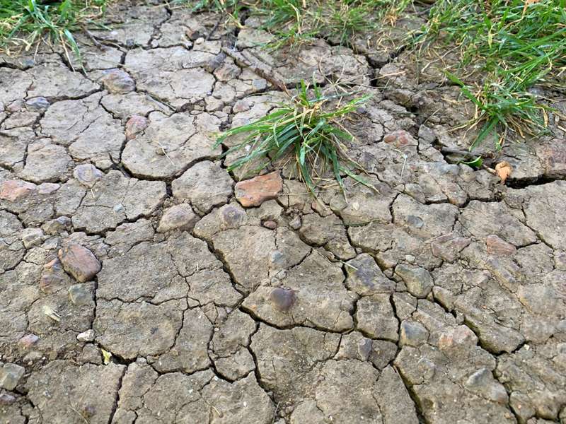 <b>Cracks are well-defined in a south Salina yard.</b> Salina Post photo