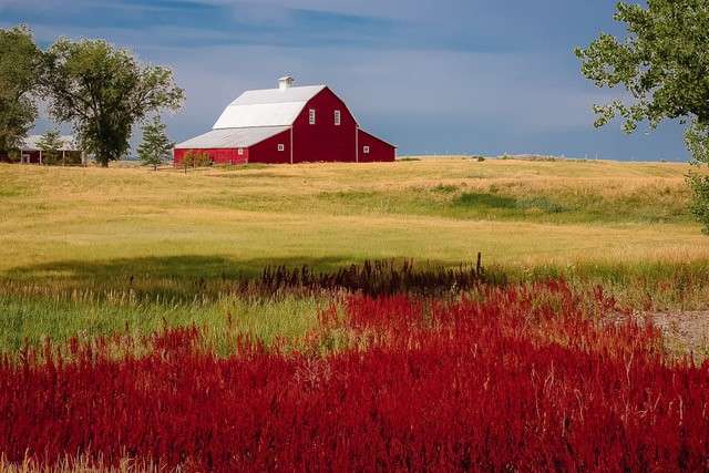 The Barn - Krista Moore