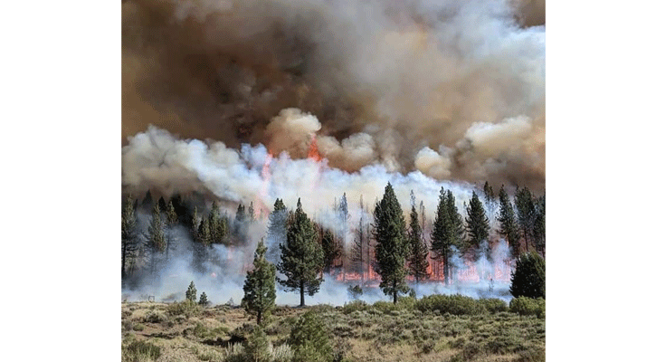 Beckwourth Fire Complex (Photo: Mark Hooper)