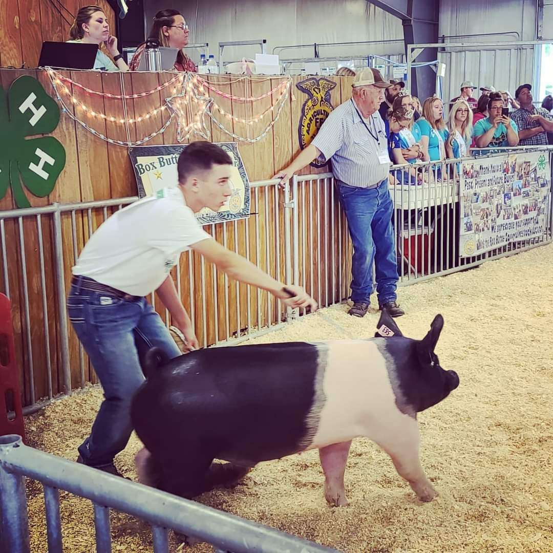 Photo by Chelsie Herian