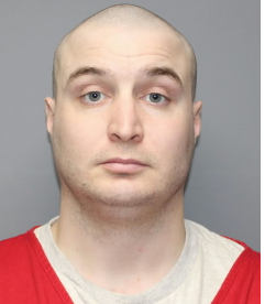 Wood has nearly a dozen convictions that include burglary, theft, criminal use of a financial card, forgery, criminal damage to property and for drugs, according to the Kansas Dept. of Corrections