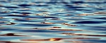 Farm Bureau campaigning against WOTUS changes