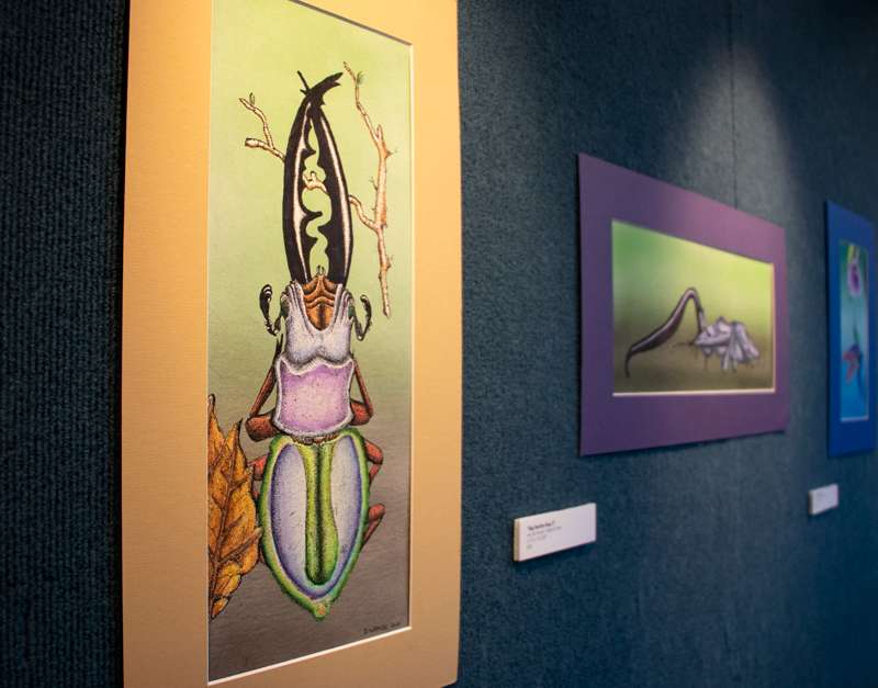 <b>Art by Bill Weaver is now in the Salina Public Library's Gallery 708.</b> Photo courtesy Salina Public Library