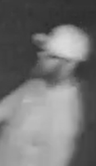 <b>Another suspect.</b>